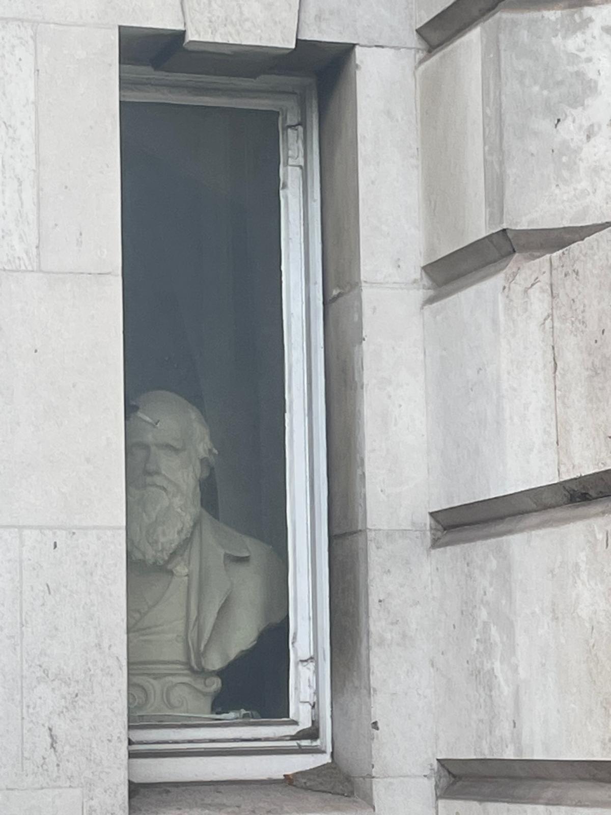A stone bust partly hidden behind a window in a London building